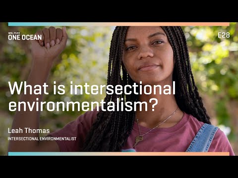 What is Intersectional Environmentalism? WSL PURE | One Ocean