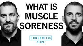 What Is Muscle Soreness? It Isn
