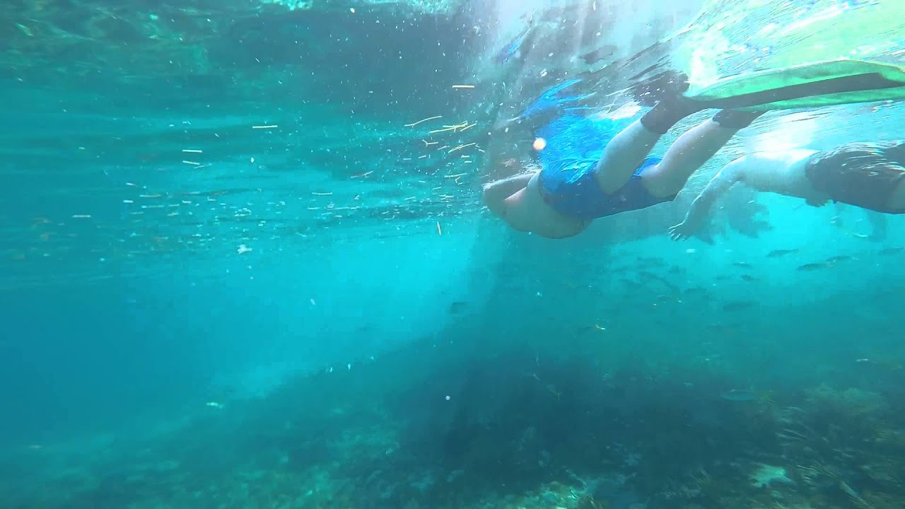 Snorkeling in Marathon in the Florida keys YouTube