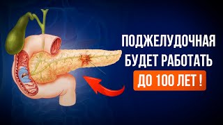 Всем кому за 50 нужно Кушать эти Продукты и ПОДЖЕЛУДОЧНАЯ Будет Работать до 100 лет by Человеческий организм 131,258 views 9 days ago 9 minutes, 37 seconds