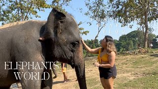 Thailand Travel Vlog | Elephants World, Kanchanaburi