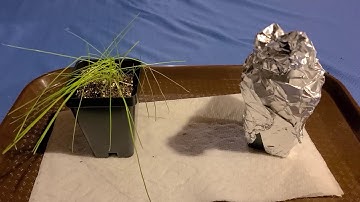 Primary Productivity Lab