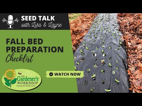 Seed Talk #60