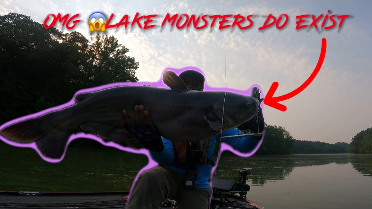 fishing-kgb-swimbaits-on-bottom-leads-to-this-youtube