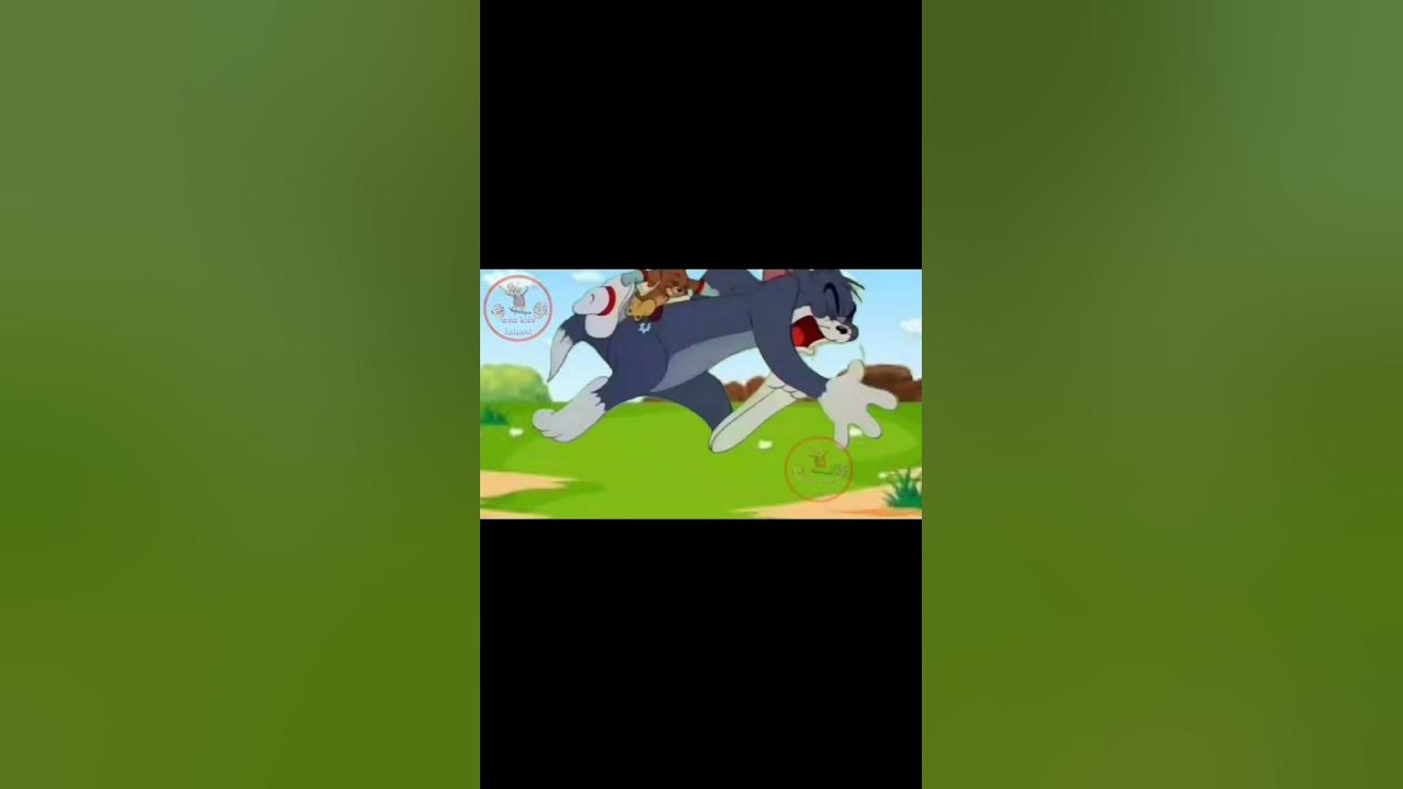 Tom and Jerrybilli chuha/billi chuha cartoon bhejo/cartoons