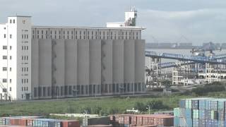 Soybean Exports on Record Pace