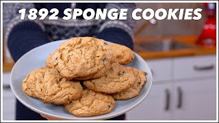 1892  Barrie Sponge Cookies Recipe  Old Cookbook Show