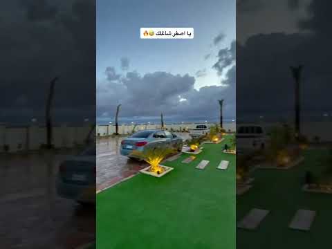 يا اصفر شاغلك