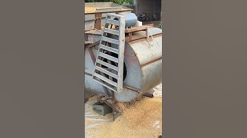 soyabin grading machine #soyabean #agriculture