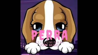 Elilluminari - Perra (Remix 2) ft. Jony Music ( Oficial) Resimi