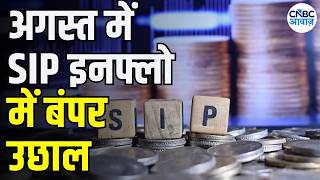Information August AMFI Data: SIP Inflows at Record High | SIP इनफ्लो ने बनाया नया रिकॉर्ड | Business News Update