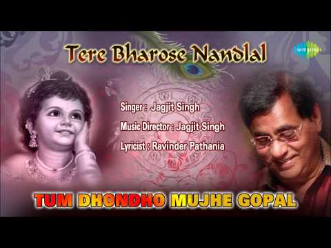 Tum Dhondho Mujhe Gopal | Hindi Devotional Song | Jagjit Singh