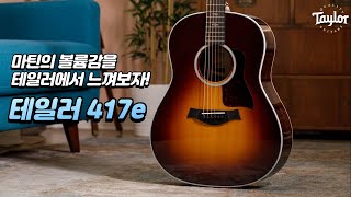 [테일러기타] 테일러 417e 기타 리뷰 (Taylor 417e Guitar Review)