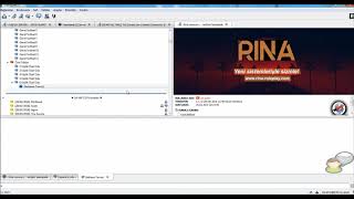 Rina Roleplay - Teamspeak Sunucusu Ddos Test -