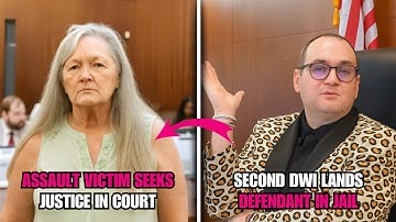 Judge Fleischer Handles Shocking DWI & Assault Cases | Courtroom Drama Unfolds in Harris County