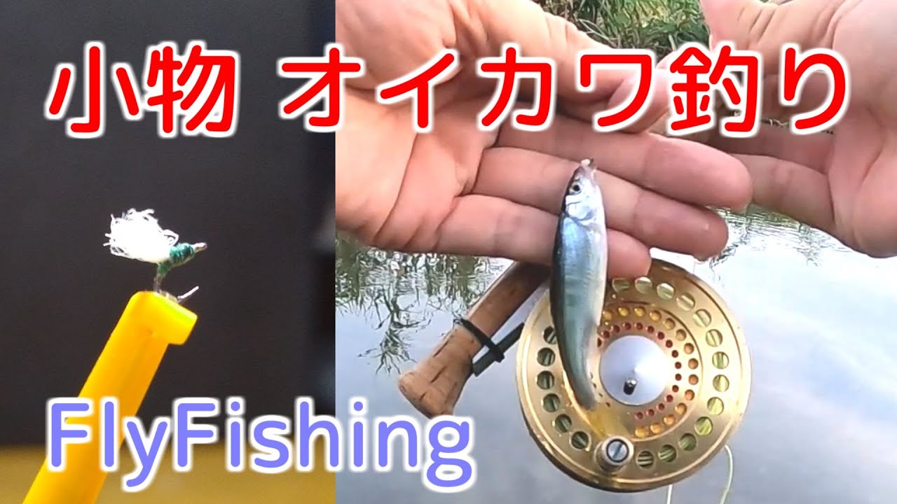 小物オイカワ釣りFlyFishing