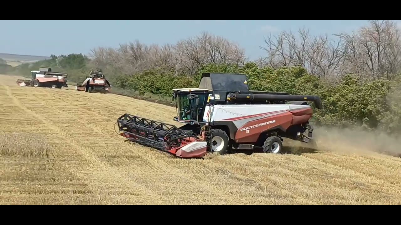 УБОРКА УРОЖАЯ 2025 КОНЕЦ ЖАТВЫ  ЗЕРНОВЫХ#агротехнологии 