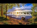 Deep Focus Music - 12 Hours Of Concentration Music for Studying and Memorizing