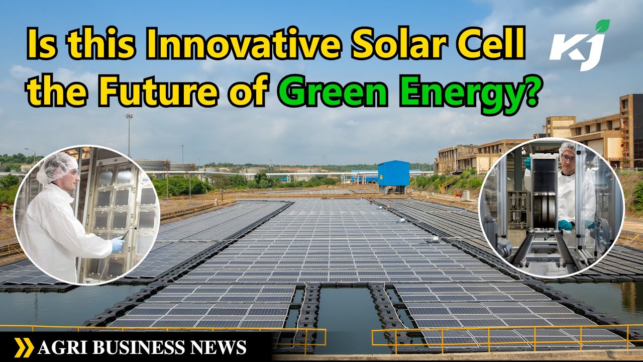 Solar Cells: Is this Innovative Solar Cell the Key to the Future of ...