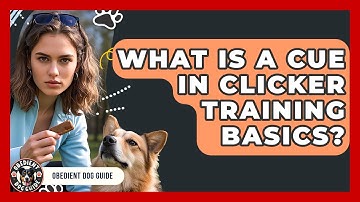 What Is A Cue In Clicker Training Basics? - Obedient Dog Guide