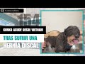 CAPÍTULO 154: Kurko acude desde Vietnam tras sufrir una hernia discal