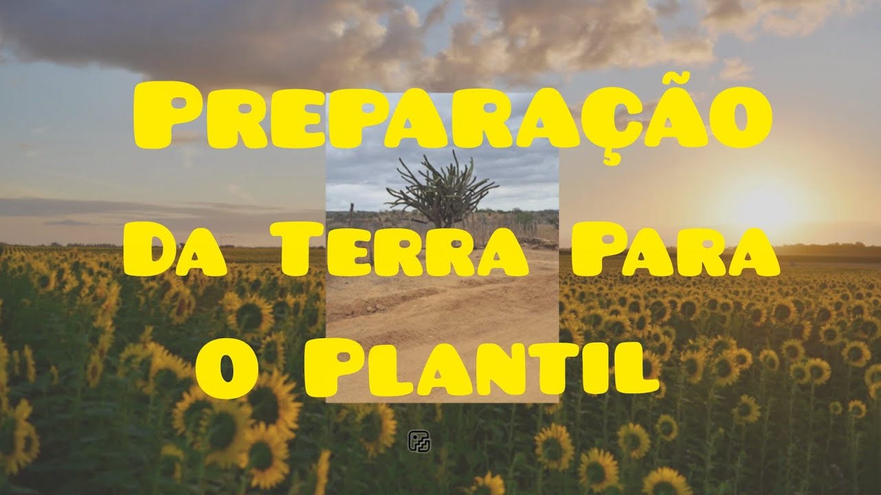 Eita Hoje Viemos Mostrar A Preparação Da Terra Para O Plantil.