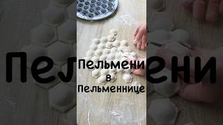 Пельмени в пельменнице готовлю дома