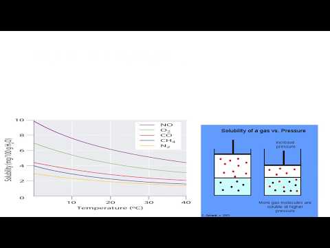 Effect of temperature