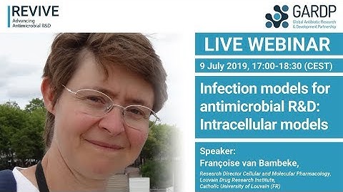 Infection models for antimicrobial R&D: Intracellular models