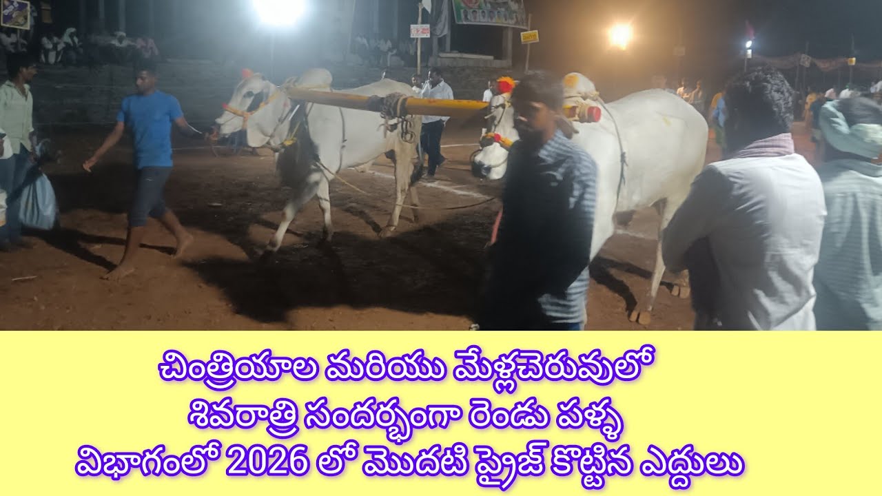చింత్రియాల గ్రామంలో రెండు పండ్ల విభాగంలో మొదటి ప్రైస్ కొట్టిన కొండేపూడి ఎద్దులు