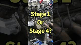 Cam Stages & America 250 Sale