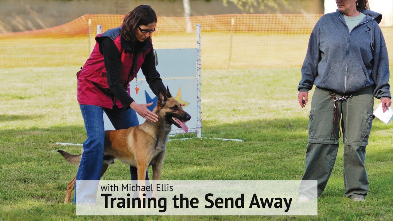 Training the Send Away I DVD Trailer