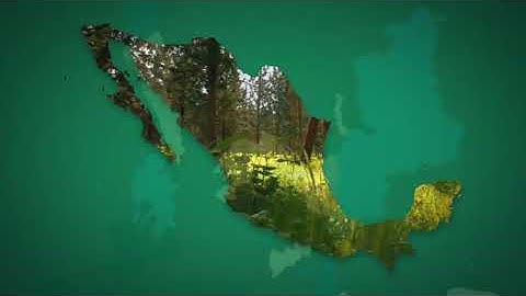 ᴴᴰ1080 Mexico Map Kit ||  Infographics ||  After Effects Project Files || VideoHive