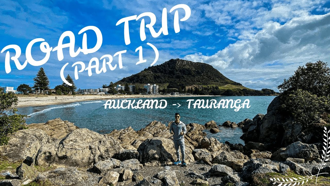 road trip auckland to tauranga