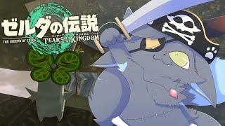 【ティアキン】砂漠とゲルドと方向音痴