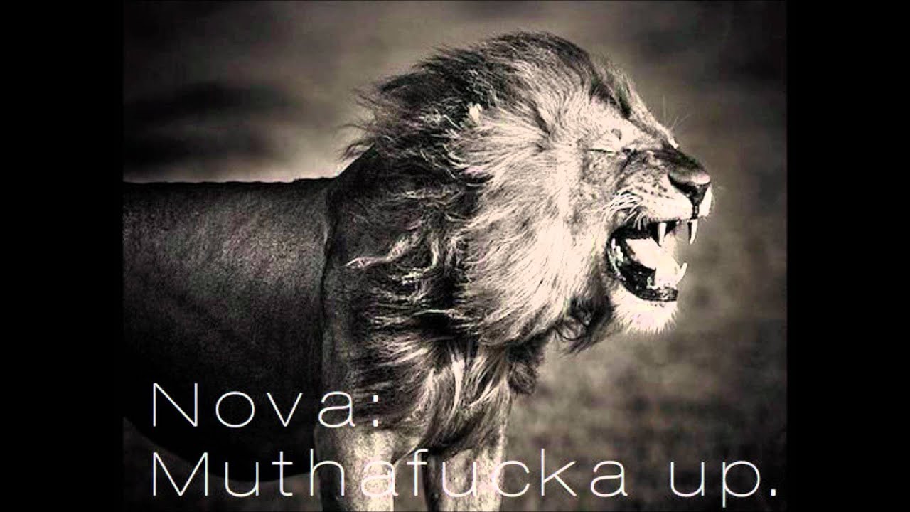 Watch Nova: Muthafucka up on YouTube Watch Nova: Muthafucka up on YouTube