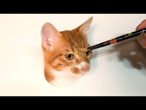 How to paint adorable cat (고양이를 리얼하게 그리는 방법)