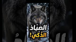 هٰذَا الحَيَوَانُ لَا يَعْتَمِدُ عَلَى القُوَّةِ فَقَط... بَلْ عَلَى الذَّكَاءِ أَيْضًا!