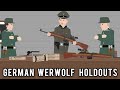 How did the Germans keep fighting the Allies after WW2?