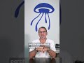 🔥 Mystery Box Karmatech: il nuovo lotto è tornato! 🔥