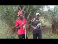 Kund Ifaranga By Naho Noheri Mp4 Ndego