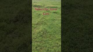 Surah ikhlas#Islamic#share karo#like karo#channel ko#Jarur subscribe karo
