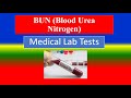 Bun blood urea nitrogen test      lab tests   what is    uses    preparation  results