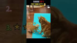 #Shorts #FunnyAnimals #AnimalFails #PetFails #CutePets #ViralPets #FunnyMoments