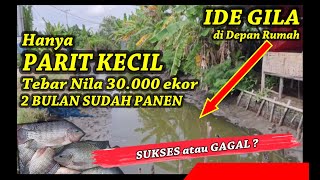 Hanya Parit Kecil Depan Rumah Ditebarkan Bibit Nila 33.000 Ekor, Langsung  Panen 2 Bulan, Kok Bisa