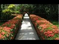 TÉCNICA PARA TRANSFORMAR O SEU JARDIM