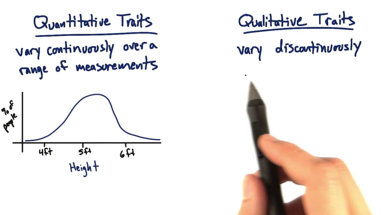 quantitative vs qualitative