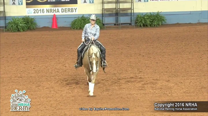 Very Cool Remedy ridden by Catherine Brown Swain -...