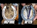 Satisfying horse hoof restoration  4k asmr