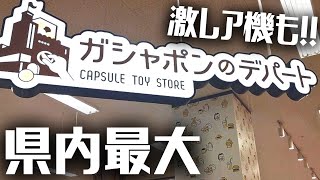 激レアのガチャ発見?!徳島県内最大設置数のガシャポンのデパート【ゲスト Lockeさん】